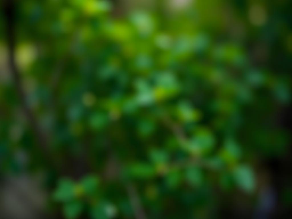 
                Quelles sont les causes possibles d'une douleur du côté gauche ? 
                            