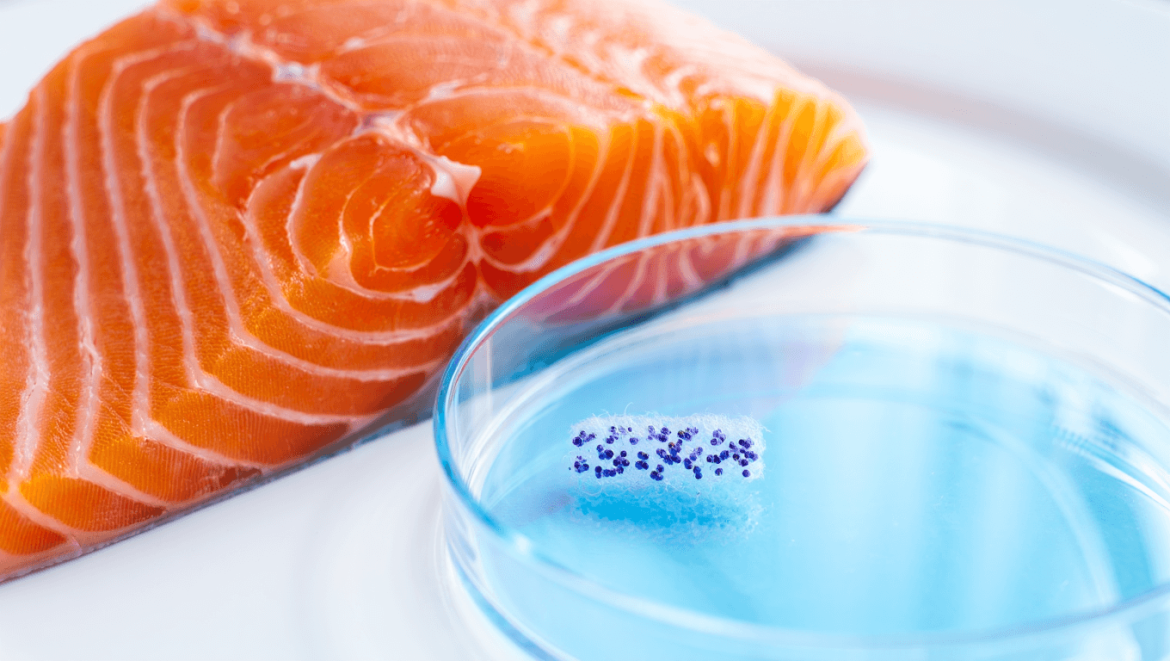 Saumon et cancer : faut-il vraiment s'inquiéter ?