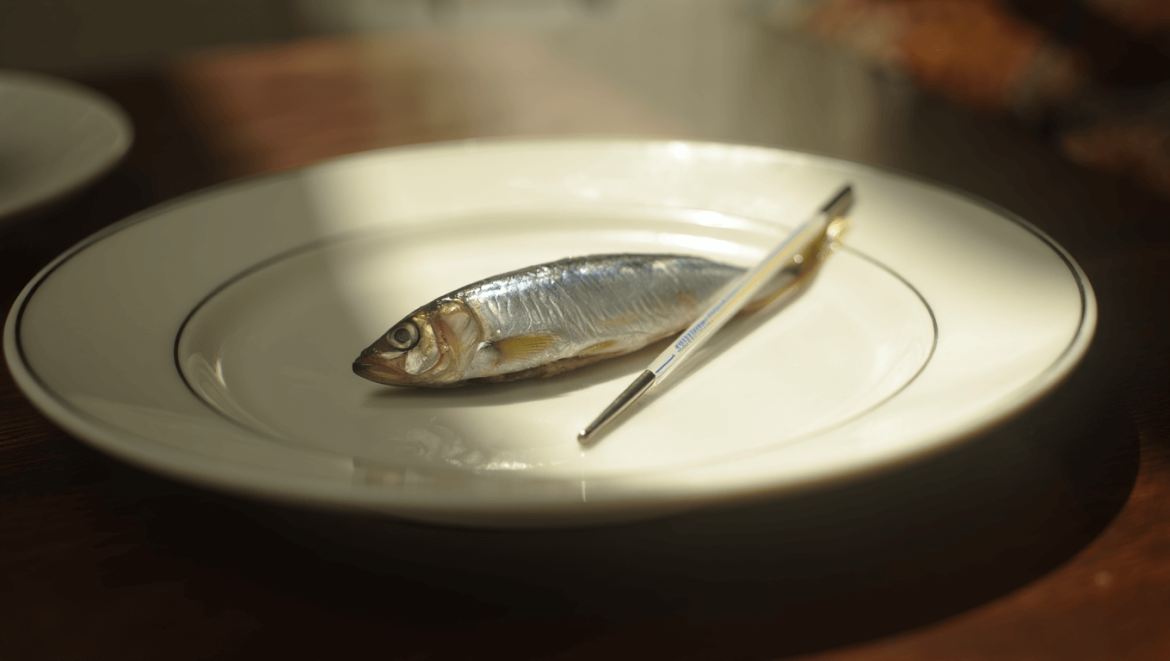 Peut-il y avoir du mercure dans les sardines ?