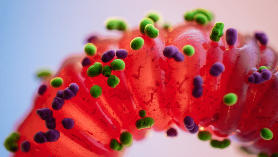 Comment savoir si votre microbiote intestinal est déséquilibré ?